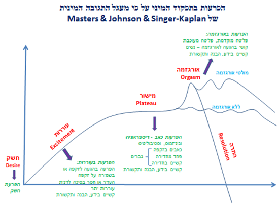 הפרעות בתפקוד המיני על פי מעגל התגובה המינית