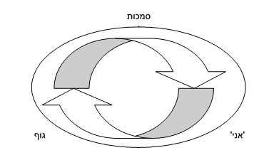 מיינדפולנס בתנועה לנפגעות טראומה מינית 2