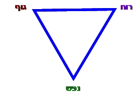 משולש: רוח-גוף-נפש