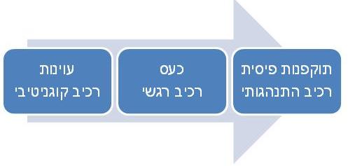 "ואז הגיע האגרוף" על תוקפנות אצל ילדים 1