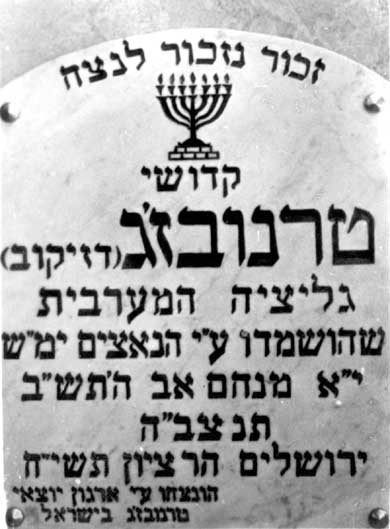 *דף ראשי 8