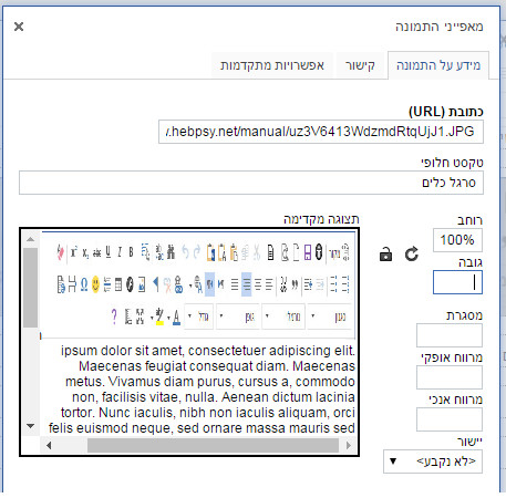 הדגמה של טקסט חלופי