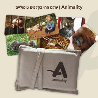 Animality - עולם החי בקלפים טיפוליים