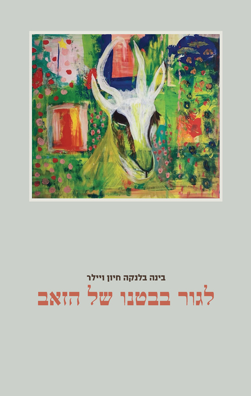 צילום כריכת הספר