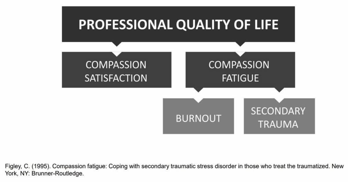 "אוי, איך את עושה את זה???" - התמודדות סגלי חטיבת הנפ� 1