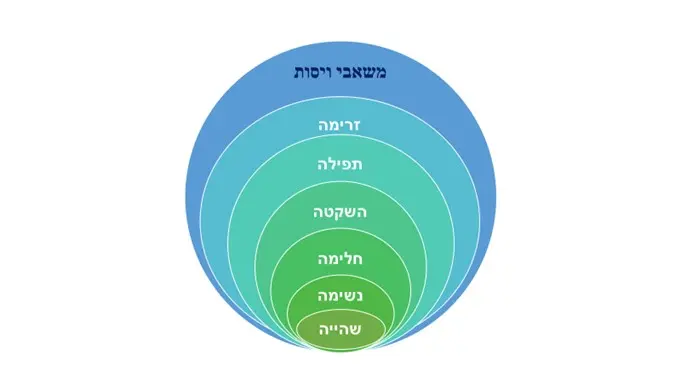 תחנת החלום: מפגש עם משאבי הויסות