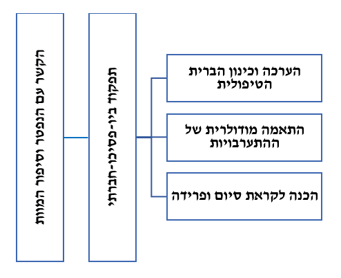 מהלך ההתערבות קצרת-המועד על פי המודל הדו-מסלולי