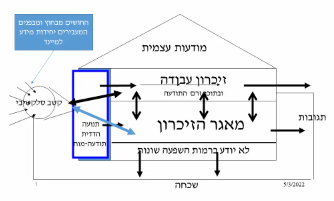 מפת התודעה