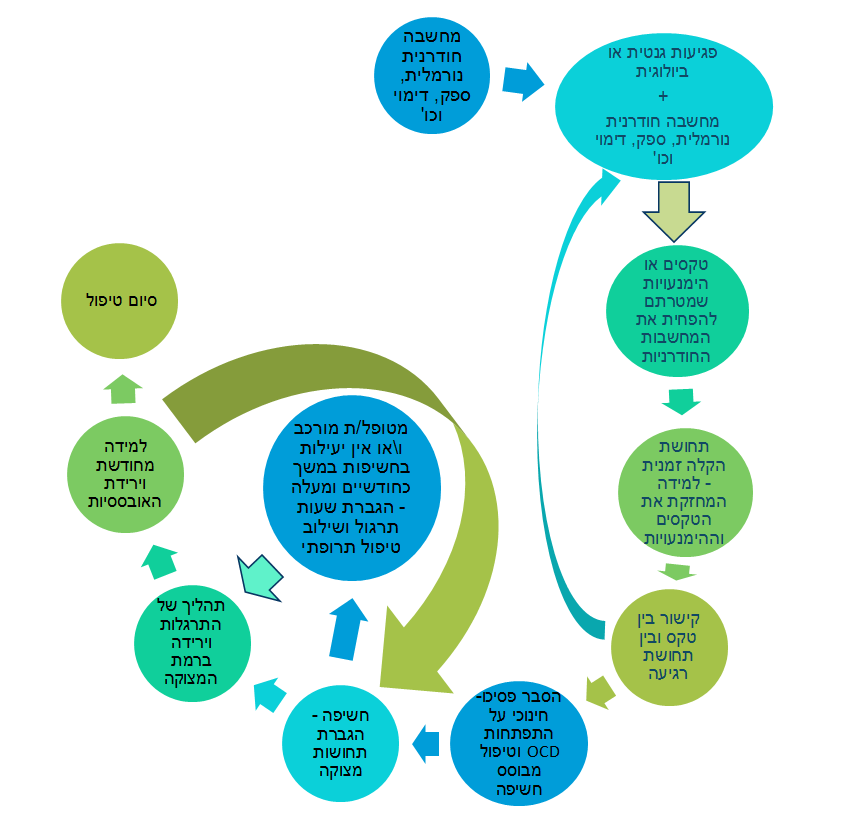 תרשים המתאר את מהלך התפתחות הפרעה אובססיבית קומפולסיבית