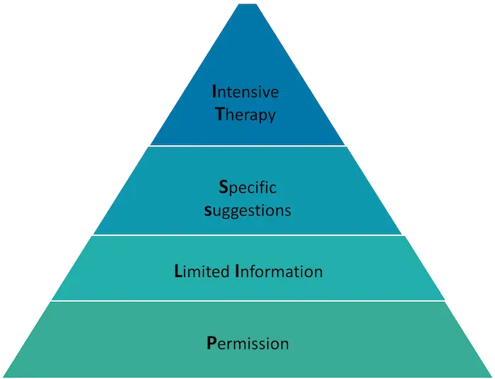 PLISSIT Model of Addressing Sexual Functioning (Annon, 1971)