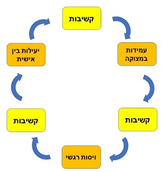 קבוצת מיומנויות DBT בפלטפורמת וידאו - עבודה קבוצתי 1