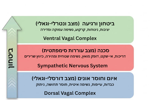 מצפן של ביטחון, חלק ב': התיאוריה הפולי-וגאלית כגשר  1