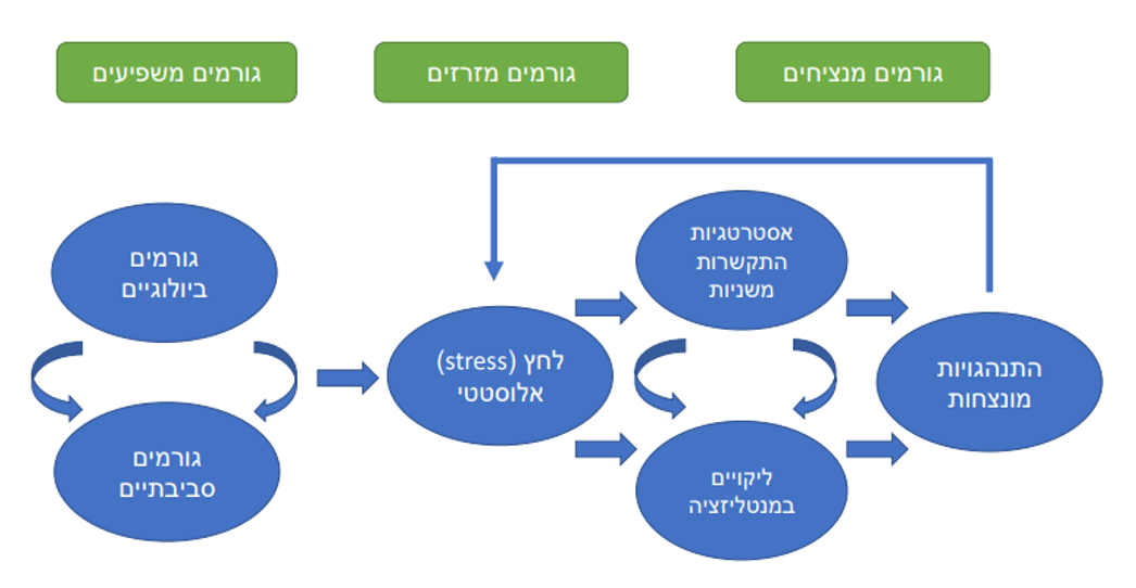 תרשים FSD