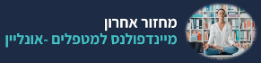 מיינדפולנס למטפלים