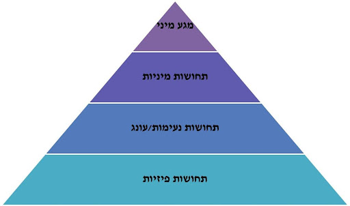 "IN-TOUCH"- מודל משולב לתחושתיות ואינטימיות מינית 1