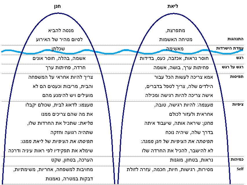 מודל הקרחון של ליאת וחנן