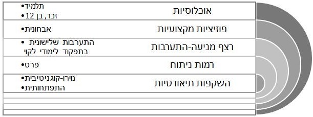 הפניית תלמיד בכיתה ו' לאבחון בשל תפקוד לימודי לקוי - תיאור גרפי באמצעות הקלידוסקופ