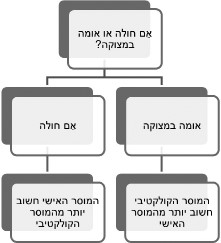 מימוש הערכים הוא תוצאת הבחירה