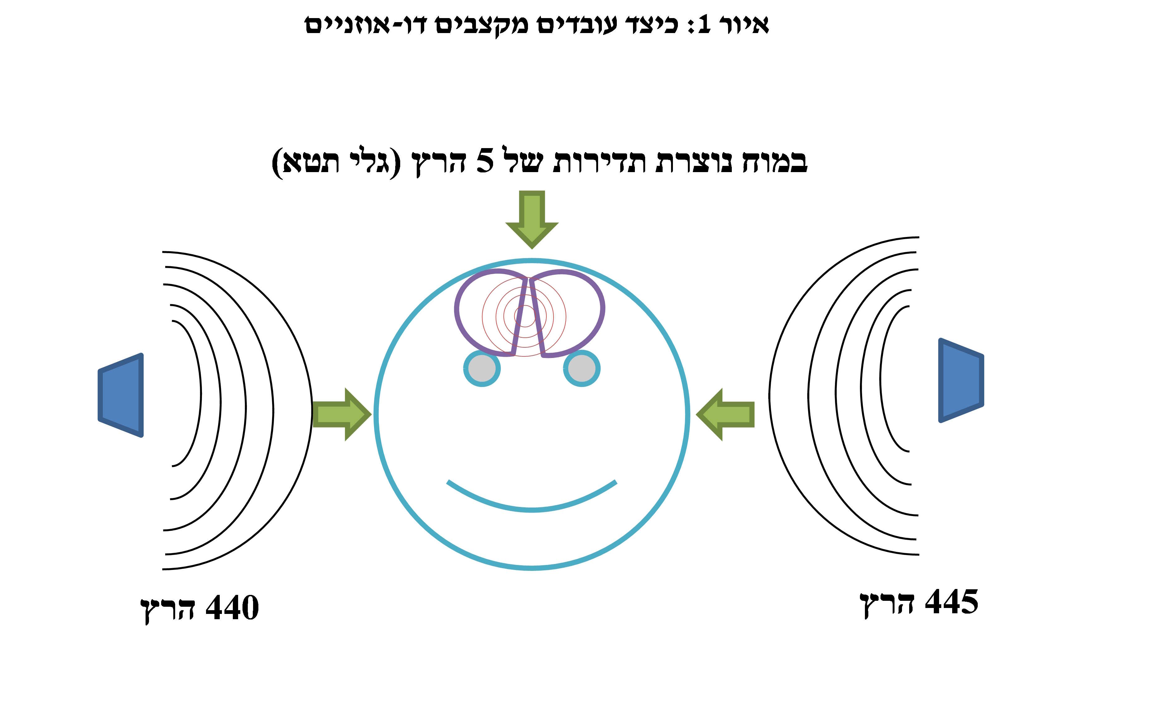 כיצד עובדים מקצבים דו-אוזניים