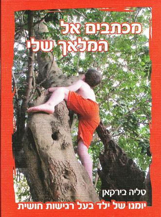מכתבים אל המלאך שלי-יומנו של ילד בעל רגישות חושית/טליה בירקאן