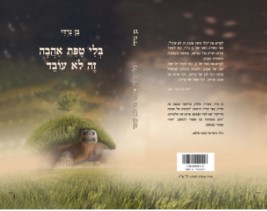 בלי טיפת אהבה זה לא עובד / בן נרדי, "הדים", 2019