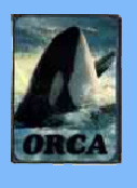 קלפי אורקה - ORCA