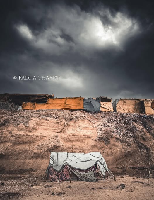 צילום מאת פאדי תאבאת / עזה, 16 לנובמבר 2025 1